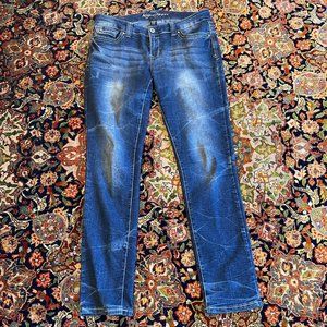 Ariya Blue Jeans Straight/Skinny Fit Size 11